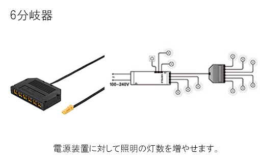 バリエーション